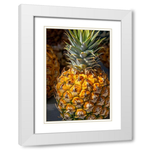 Sugarloaf pineapple White Modern Wood Framed Art Print with Double Matting by Engelbrecht, Lisa S.