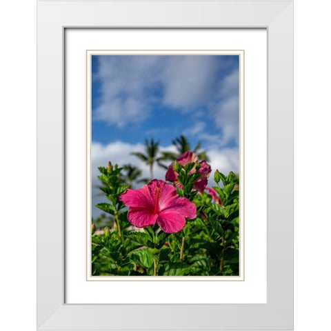 Hibiscus White Modern Wood Framed Art Print with Double Matting by Engelbrecht, Lisa S.