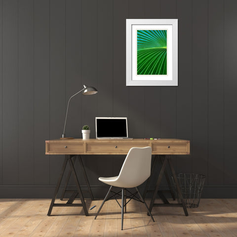 Palm frond White Modern Wood Framed Art Print with Double Matting by Engelbrecht, Lisa S.