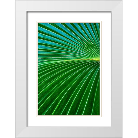 Palm frond White Modern Wood Framed Art Print with Double Matting by Engelbrecht, Lisa S.