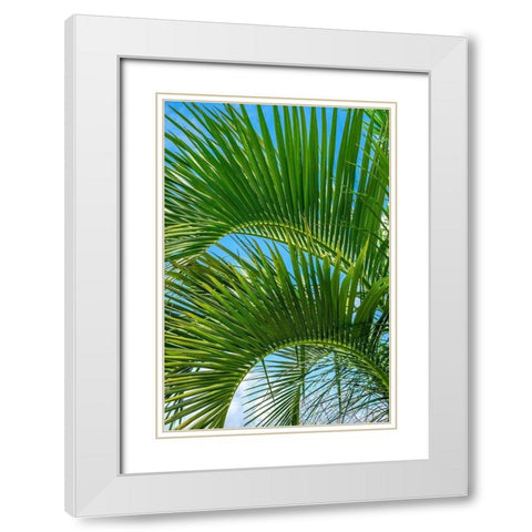 Palm fronds White Modern Wood Framed Art Print with Double Matting by Engelbrecht, Lisa S.