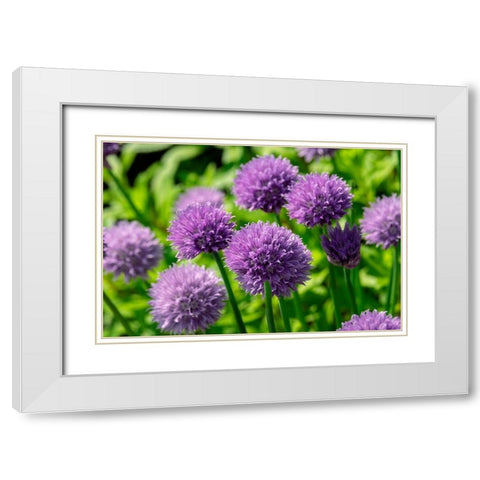 Chives White Modern Wood Framed Art Print with Double Matting by Engelbrecht, Lisa S.