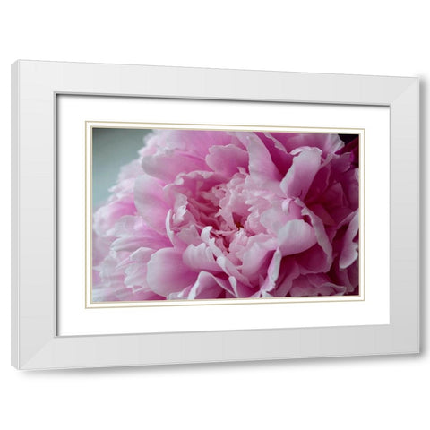 Pink Peony White Modern Wood Framed Art Print with Double Matting by Engelbrecht, Lisa S.