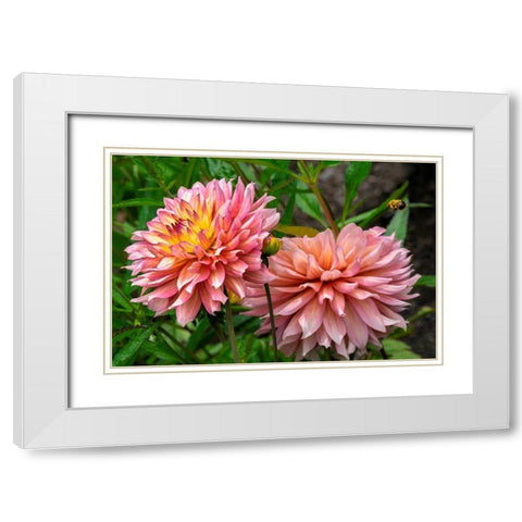 Dahlia White Modern Wood Framed Art Print with Double Matting by Engelbrecht, Lisa S.