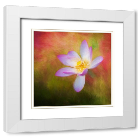 A photo painting of a waterlily White Modern Wood Framed Art Print with Double Matting by Haddad, Sheila