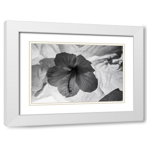 Hibiscus Flower and Tissue Paper with Light White Modern Wood Framed Art Print with Double Matting by Beraldo, Zandina Muench