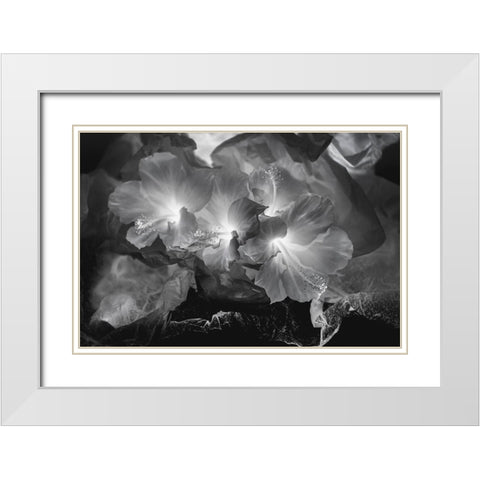 Hibiscus Flower and Tissue Paper with Light White Modern Wood Framed Art Print with Double Matting by Beraldo, Zandina Muench