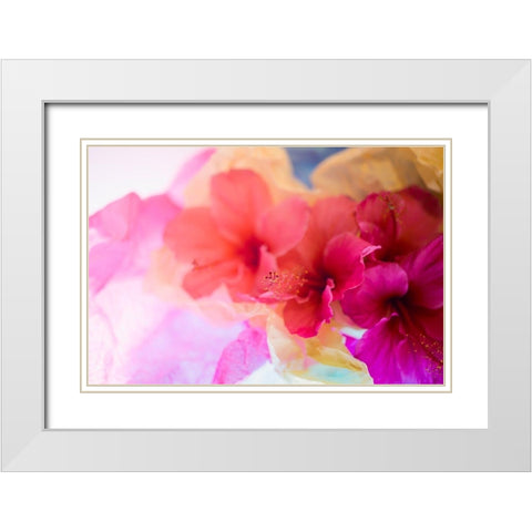 Hibiscus Flower and Tissue Paper with Light White Modern Wood Framed Art Print with Double Matting by Beraldo, Zandina Muench