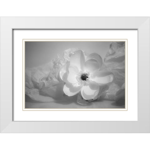 Black and white flower White Modern Wood Framed Art Print with Double Matting by Beraldo, Zandina Muench