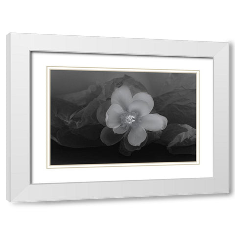 Black and white flower White Modern Wood Framed Art Print with Double Matting by Beraldo, Zandina Muench