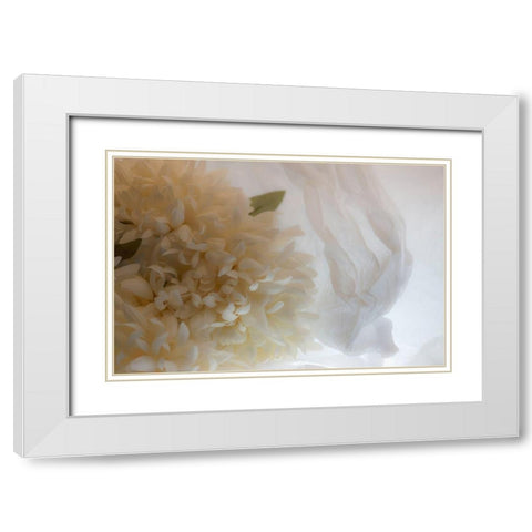 Close-up of flower White Modern Wood Framed Art Print with Double Matting by Beraldo, Zandina Muench