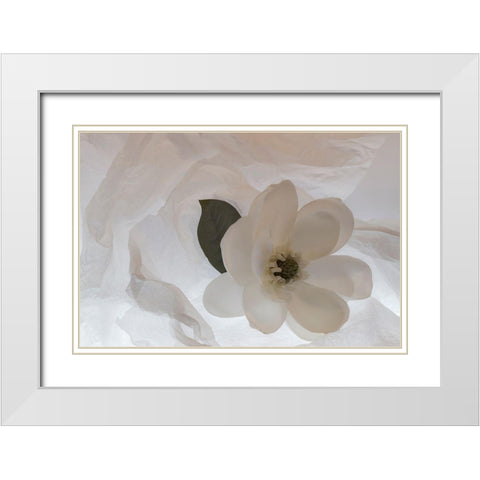 Close-up of flower White Modern Wood Framed Art Print with Double Matting by Beraldo, Zandina Muench
