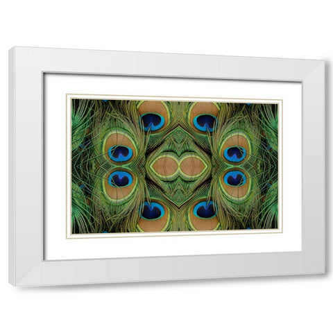 Peacock feathers White Modern Wood Framed Art Print with Double Matting by Jones, Adam