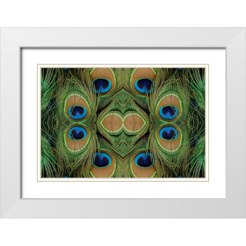 Peacock feathers White Modern Wood Framed Art Print with Double Matting by Jones, Adam