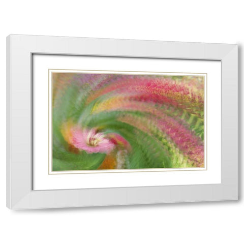 Abstract swirl of pink flower White Modern Wood Framed Art Print with Double Matting by Anon, Ellen