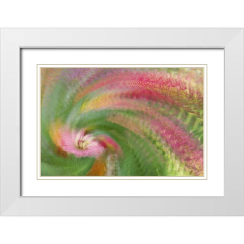Abstract swirl of pink flower White Modern Wood Framed Art Print with Double Matting by Anon, Ellen