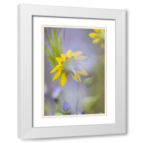Close-up of wildflowers White Modern Wood Framed Art Print with Double Matting by Anon, Ellen