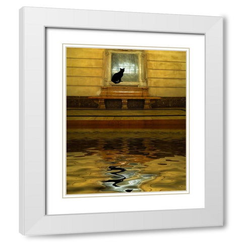 Concept of black cat and water White Modern Wood Framed Art Print with Double Matting by Zuckerman, Jim