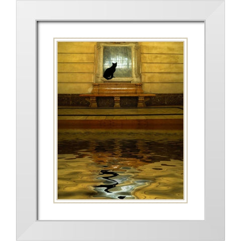 Concept of black cat and water White Modern Wood Framed Art Print with Double Matting by Zuckerman, Jim