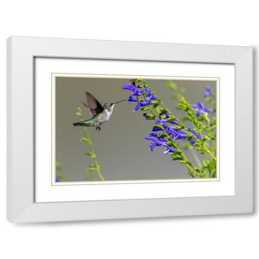Perspective Image