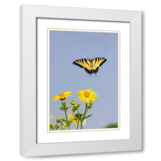 Perspective Image