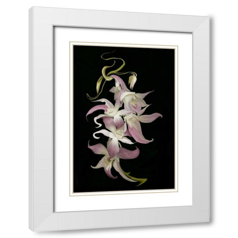 Abstract orchid artwork, digitally manipulated White Modern Wood Framed Art Print with Double Matting by Anon, Ellen
