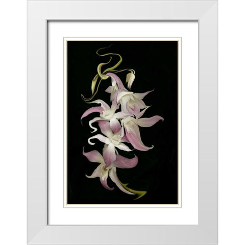 Abstract orchid artwork, digitally manipulated White Modern Wood Framed Art Print with Double Matting by Anon, Ellen