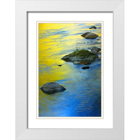 Colors Reflected in Water White Modern Wood Framed Art Print with Double Matting by Miller, Anna