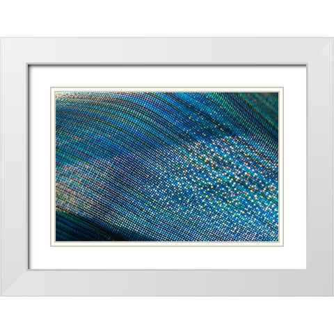 Colorful fabric detail White Modern Wood Framed Art Print with Double Matting by Muench, Zandria