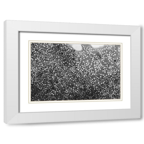 Beet juice and salt crystals White Modern Wood Framed Art Print with Double Matting by Muench, Zandria