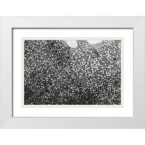 Beet juice and salt crystals White Modern Wood Framed Art Print with Double Matting by Muench, Zandria