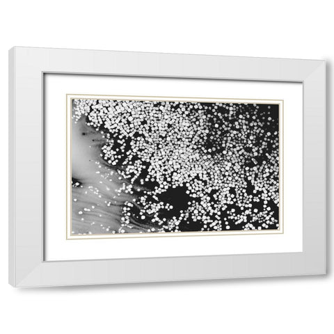 Beet juice and salt crystals White Modern Wood Framed Art Print with Double Matting by Muench, Zandria