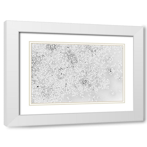Beet juice and salt crystals White Modern Wood Framed Art Print with Double Matting by Muench, Zandria