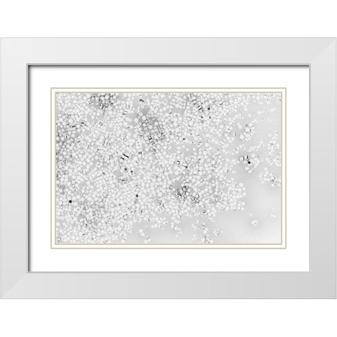 Beet juice and salt crystals White Modern Wood Framed Art Print with Double Matting by Muench, Zandria