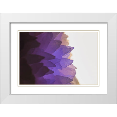 Rose Quartz White Modern Wood Framed Art Print with Double Matting by Muench, Zandria