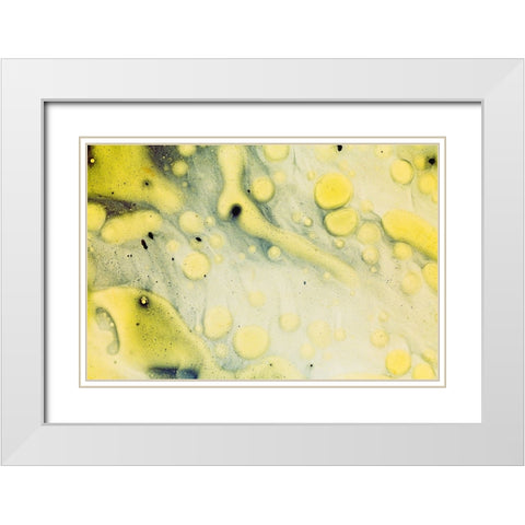 Paint-oil and water White Modern Wood Framed Art Print with Double Matting by Muench, Zandria