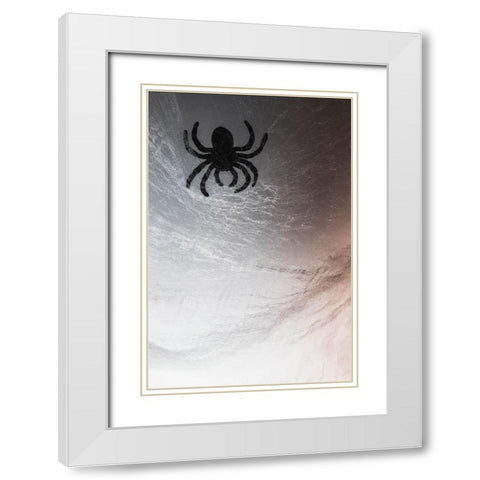 Spider on web White Modern Wood Framed Art Print with Double Matting by Muench, Zandria