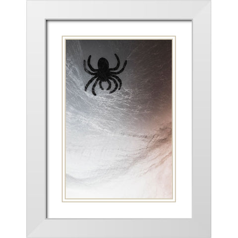 Spider on web White Modern Wood Framed Art Print with Double Matting by Muench, Zandria
