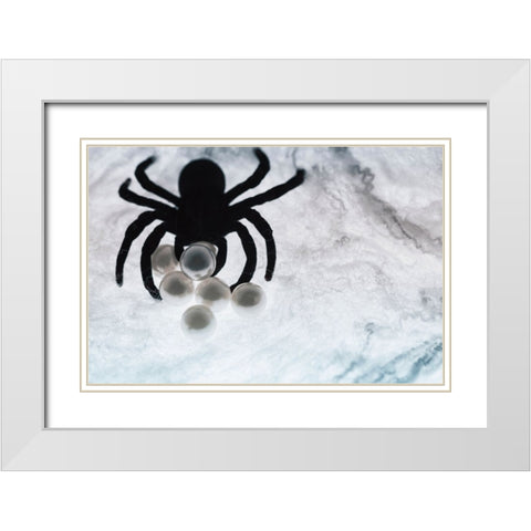 Spider on web White Modern Wood Framed Art Print with Double Matting by Muench, Zandria