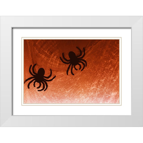 Spider on web White Modern Wood Framed Art Print with Double Matting by Muench, Zandria