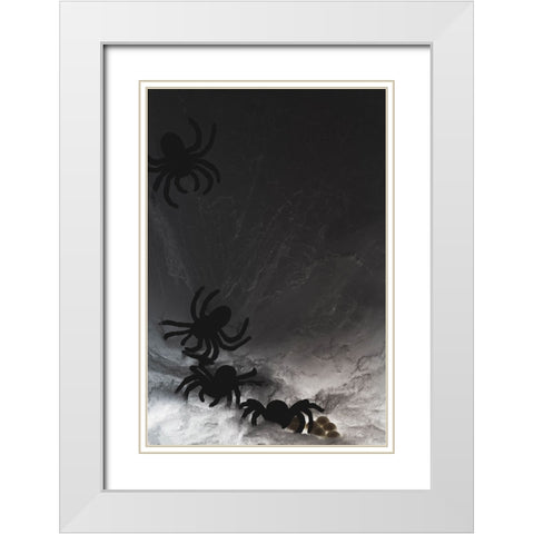 Spider on web White Modern Wood Framed Art Print with Double Matting by Muench, Zandria