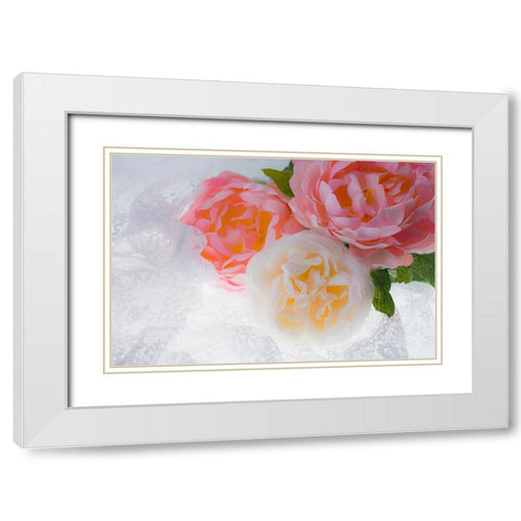 Flowers and light White Modern Wood Framed Art Print with Double Matting by Muench, Zandria