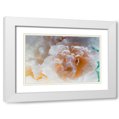 Flowers and light White Modern Wood Framed Art Print with Double Matting by Muench, Zandria