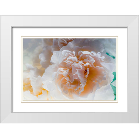 Flowers and light White Modern Wood Framed Art Print with Double Matting by Muench, Zandria