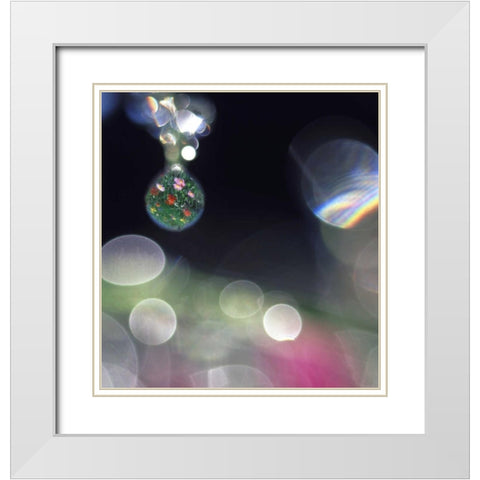 Dew on flowers with flower field in one drop White Modern Wood Framed Art Print with Double Matting by Satushek, Steve
