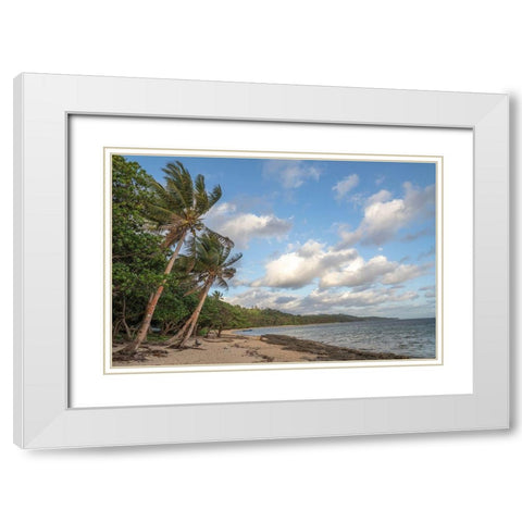 Fiji-Viti Levu Beach with palm trees and white clouds White Modern Wood Framed Art Print with Double Matting by Merrill Images