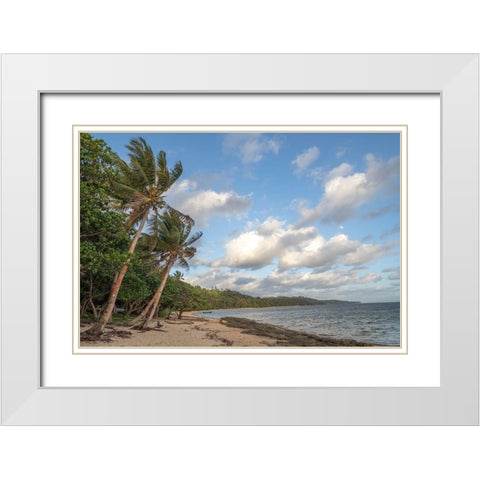 Fiji-Viti Levu Beach with palm trees and white clouds White Modern Wood Framed Art Print with Double Matting by Merrill Images