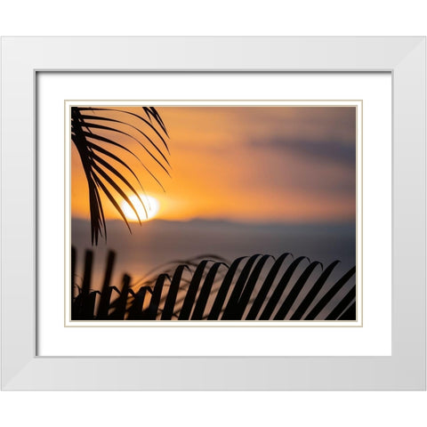 Fiji-Vanua Levu Palm fronds silhouetted in sunset over the ocean White Modern Wood Framed Art Print with Double Matting by Merrill Images
