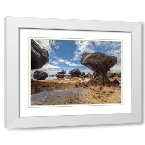 Fiji-Taveuni Island Rock formations on the beach of Lavena showing erosion White Modern Wood Framed Art Print with Double Matting by Merrill Images