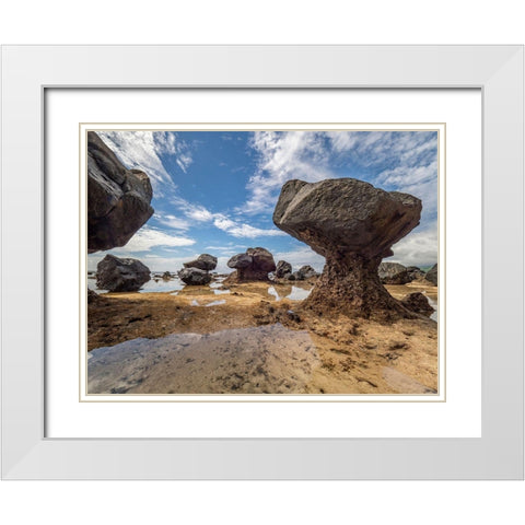 Fiji-Taveuni Island Rock formations on the beach of Lavena showing erosion White Modern Wood Framed Art Print with Double Matting by Merrill Images